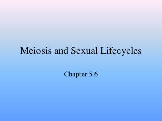Meiosis and Sexual Lifecycles