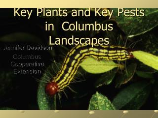 Key Plants and Key Pests in Columbus Landscapes