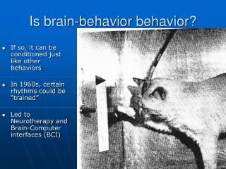 Is brain-behavior behavior?