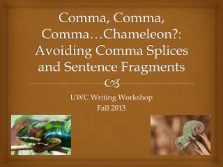 Comma, Comma, Comma…Chameleon?: Avoiding Comma Splices and Sentence Fragments