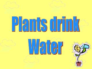 Plants drink Water