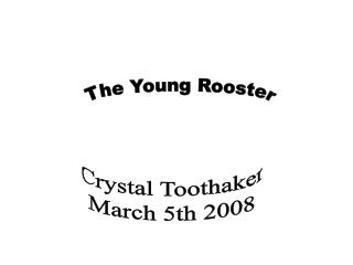 The Young Rooster