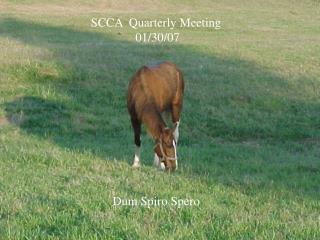 SCCA Quarterly Meeting 01/30/07