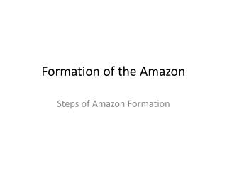 Formation of the Amazon