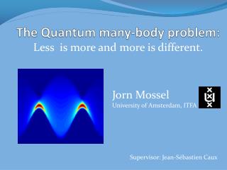 The Quantum many-body problem: