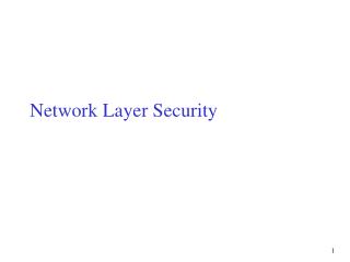 Network Layer Security