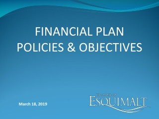 FINANCIAL PLAN POLICIES & OBJECTIVES