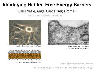 Identifying Hidden Free Energy Barriers