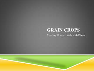 Grain Crops