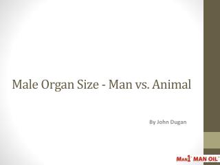 Male Organ Size - Man vs. Animal