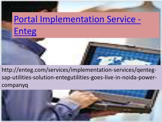SAP Implementation Services-Enteg