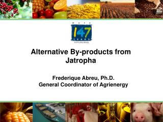 Alternative By-products from Jatropha
