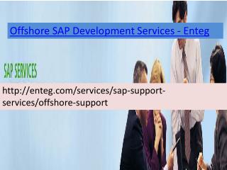Offshore SAP Development Services-Enteg