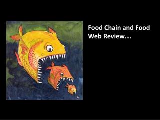 Food Chain and Food Web Review….