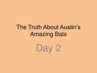 The Truth About Austin’s Amazing Bats
