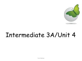 Intermediate 3A/ Unit 4
