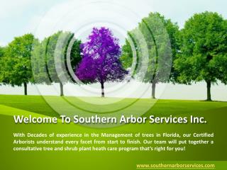 Trees Management Services