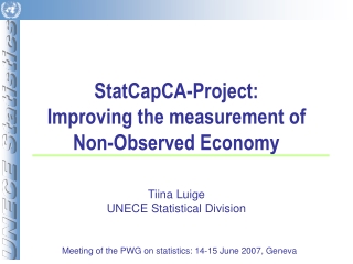 StatCapCA-Project: Improving the measurement of Non-Observed Economy