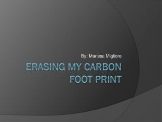 Erasing My Carbon Foot Print