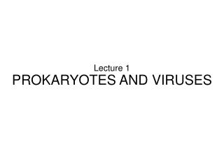 Lecture 1 PROKARYOTES AND VIRUSES