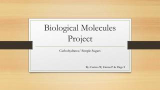 Biological Molecules Project