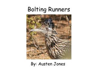Bolting Runners