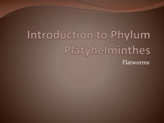 Introduction to Phylum Platyhelminthes