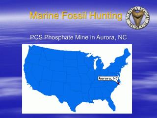Marine Fossil Hunting