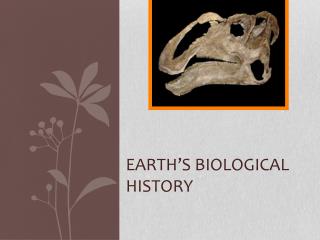 Earth’s Biological history