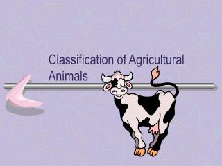 Classification of Agricultural Animals
