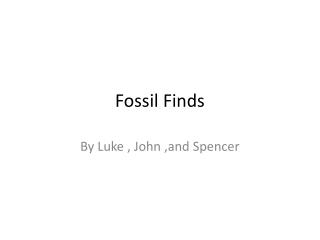 Fossil Finds