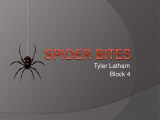 Spider Bites