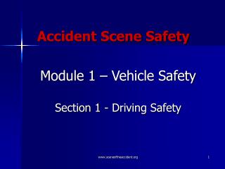 Accident Scene Safety