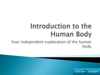 PPT - Introduction To The Human Body PowerPoint Presentation, Free ...