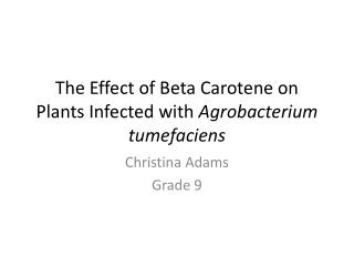 The Effect of Beta Carotene on Plants Infected with Agrobacterium t umefaciens