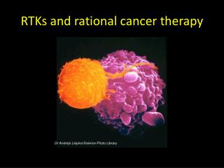 RTKs and rational cancer therapy