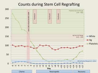 Counts during Stem Cell Regrafting