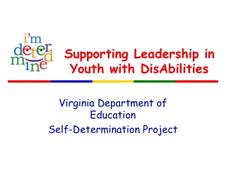 Supporting Leadership in Youth with DisAbilities