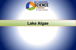 Lake Algae