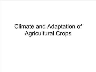 Climate and Adaptation of Agricultural Crops
