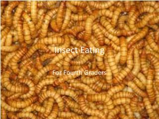 Insect Eating