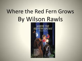when was wilson rawls born