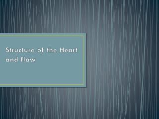 Structure of the Heart and flow