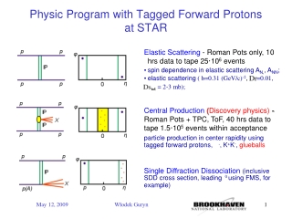 Physic Program with Tagged Forward Protons at STAR