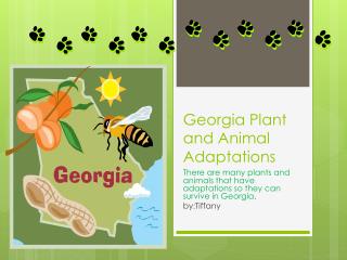 Georgia Plant and Animal Adaptations