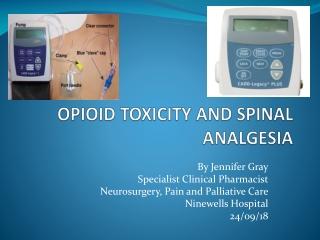 OPIOID TOXICITY AND SPINAL ANALGESIA