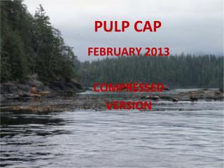 PULP CAP