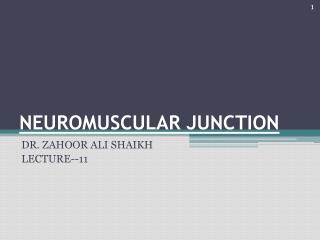 NEUROMUSCULAR JUNCTION