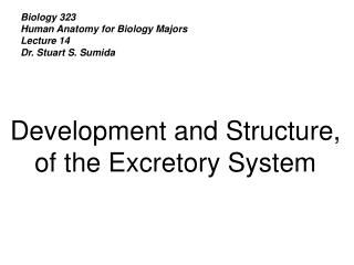 Biology 323 Human Anatomy for Biology Majors Lecture 14 Dr. Stuart S. Sumida