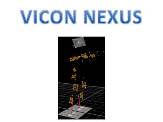 VICON NEXUS